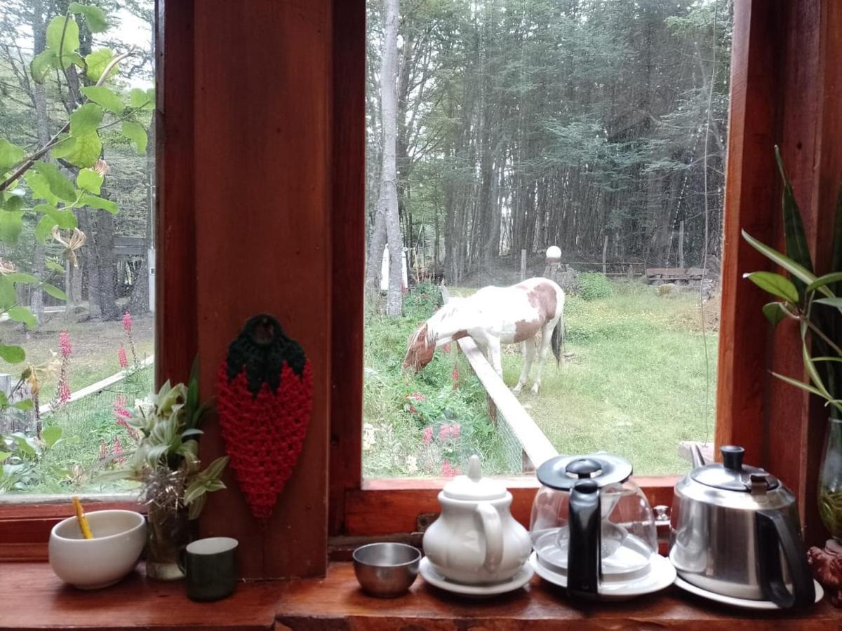 Guest house Bosque Holistico Del Fin Del Mundo Ushuaia